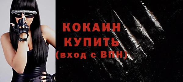 гашик Дмитриев