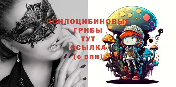 гашик Дмитриев