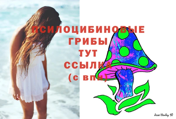 MDMA Дмитров