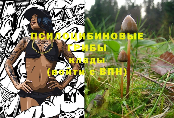 эйфоретик Дмитровск