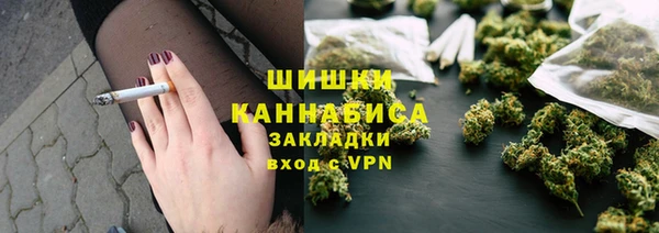 гашик Дмитриев