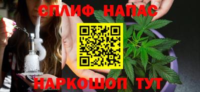 Альфа ПВП Бийск