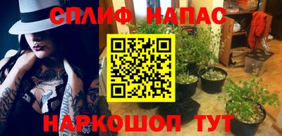 гидра Балашиха