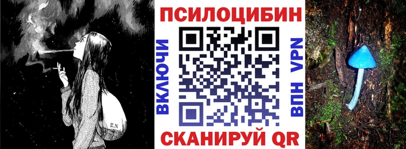 Галлюциногенные грибы Psilocybe  Донецк 