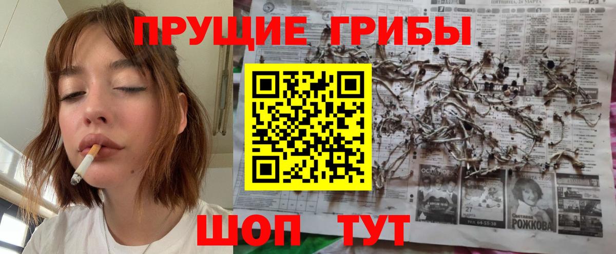 Псилоцибиновые грибы мицелий Донецк