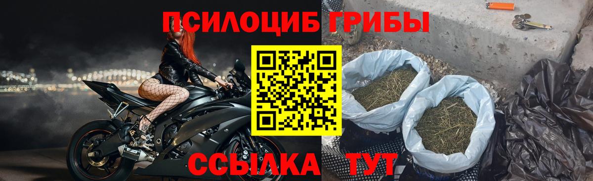 Псилоцибиновые грибы Magic Shrooms  Донецк 